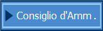 Consiglio d'Amm .